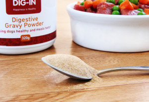 Dig-In Digestive Gravy Powder