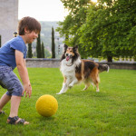 3 fun games your dog will love