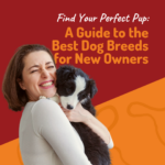 Find Your Perfect Pup: A Guide to the Best Dog Breeds for New Owners